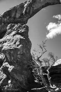 Turret Arch-9775.jpg